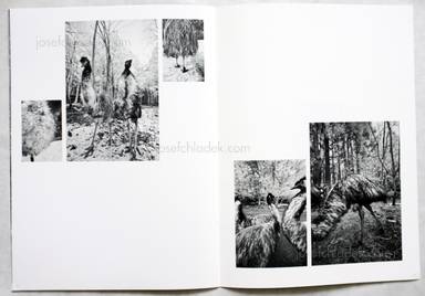 Sample page 4 for book  Hisako Sakurai – Dromaius-鳥