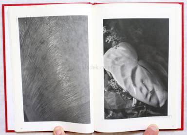 Sample page 5 for book  Miyako Ishiuchi – Mother's 