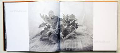 Sample page 2 for book  Jos Jansen – Seeds - On the Origin of Food Crops