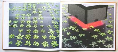Sample page 13 for book  Jos Jansen – Seeds - On the Origin of Food Crops