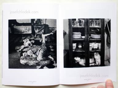 Sample page 6 for book  Alain Laboile – The Family