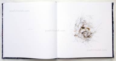 Sample page 2 for book  Klaus Pichler – Dust