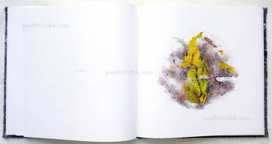 Sample page 6 for book  Klaus Pichler – Dust