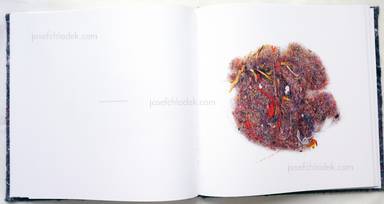 Sample page 10 for book  Klaus Pichler – Dust