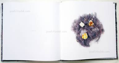 Sample page 12 for book  Klaus Pichler – Dust