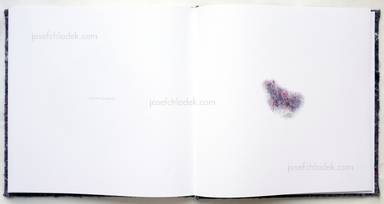 Sample page 14 for book  Klaus Pichler – Dust