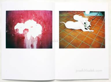 Sample page 3 for book  Gerry Johansson – Breadfield - Second Choice