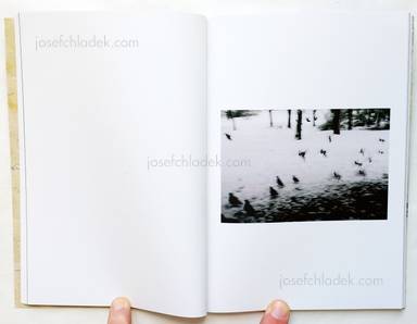 Sample page 6 for book  Aminta Pierri – L’unghia del Leone