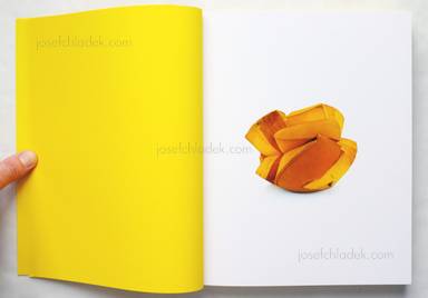 Sample page 1 for book  Christopher Williams – Printed in Germany