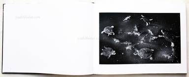 Sample page 7 for book  Trent Parke – The Black Rose