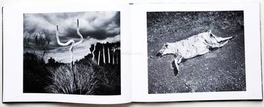 Sample page 20 for book  Trent Parke – The Black Rose
