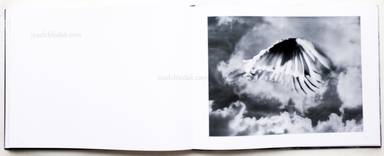 Sample page 22 for book  Trent Parke – The Black Rose
