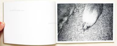 Sample page 2 for book  Calin Kruse – Marble