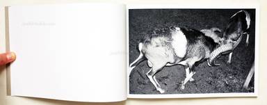 Sample page 4 for book  Calin Kruse – Marble