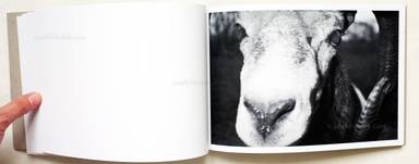 Sample page 9 for book  Calin Kruse – Marble