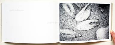 Sample page 15 for book  Calin Kruse – Marble