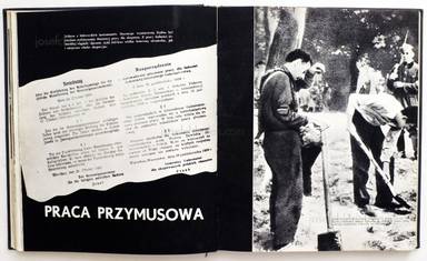 Sample page 13 for book  Adam Rutkowski – Meczenstwo Walka, Zaglada Zydow w Polsce 1939-1945