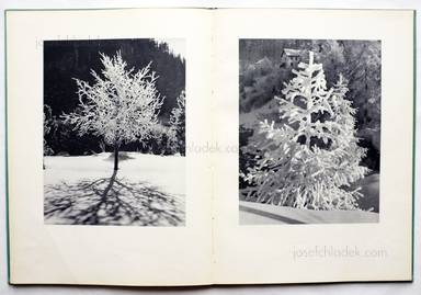 Sample page 5 for book  Albert Steiner – Schnee - Winter - Sonne