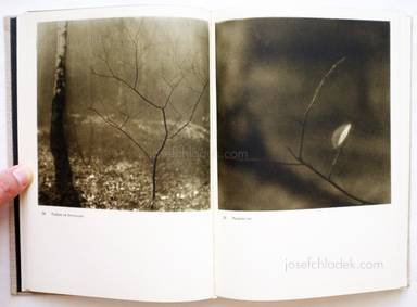 Sample page 5 for book  Josef Sudek – Fotografie