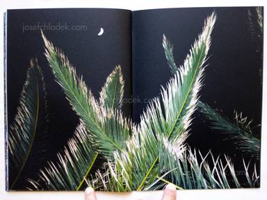Sample page 10 for book  Petros Koublis – INLANDS