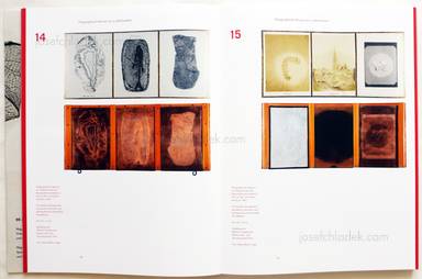Sample page 3 for book  Simon Weber-Unger – Naturselbstdrucke