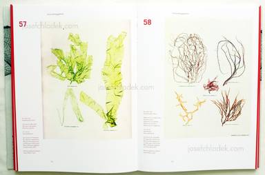 Sample page 8 for book  Simon Weber-Unger – Naturselbstdrucke