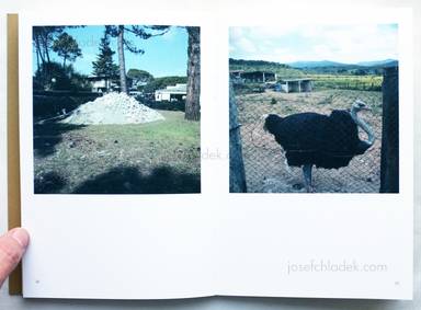 Sample page 5 for book  Stefano Vigni – All'ombra di un pino 