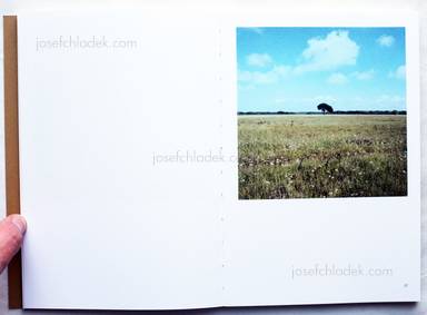 Sample page 6 for book  Stefano Vigni – All'ombra di un pino 
