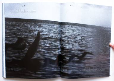 Sample page 22 for book  Daisuke Yokota – Tarantine