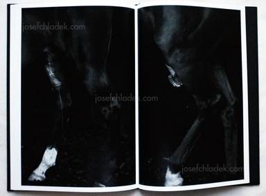 Sample page 15 for book  Bruce Connew – Body of Work