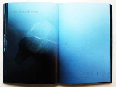 Sample page 9 for book  Cristina de Middel – Sharkification