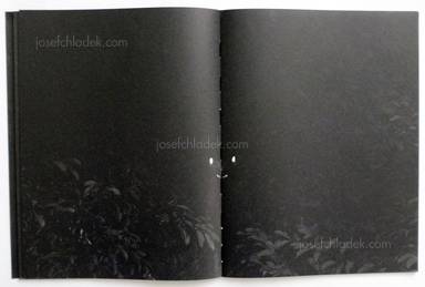 Sample page 12 for book  Robert Zhao Renhui – Mynas