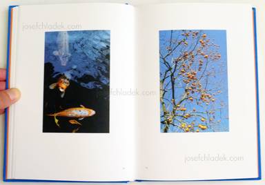 Sample page 7 for book  Nat Urazmetova – The Persimmon’s Fruit
