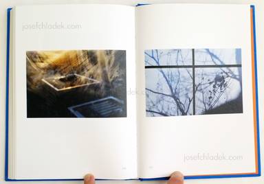 Sample page 14 for book  Nat Urazmetova – The Persimmon’s Fruit