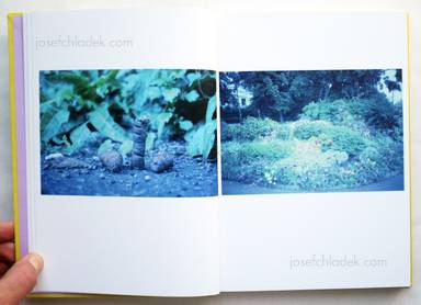 Sample page 3 for book  Morten Andersen – Color F.