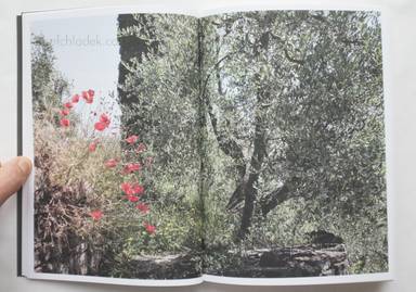 Sample page 3 for book  Martino Marangoni – Nonni's Paradiso - An Olive Tree Story