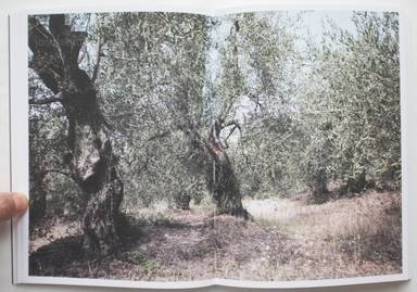 Sample page 7 for book  Martino Marangoni – Nonni's Paradiso - An Olive Tree Story