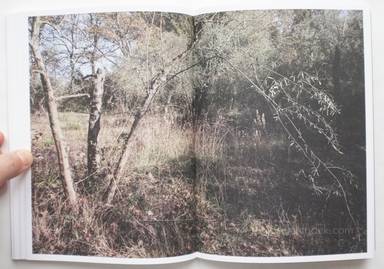 Sample page 9 for book  Martino Marangoni – Nonni's Paradiso - An Olive Tree Story
