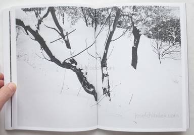 Sample page 12 for book  Martino Marangoni – Nonni's Paradiso - An Olive Tree Story