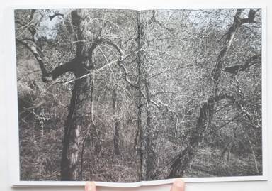 Sample page 13 for book  Martino Marangoni – Nonni's Paradiso - An Olive Tree Story