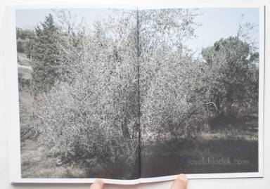 Sample page 14 for book  Martino Marangoni – Nonni's Paradiso - An Olive Tree Story