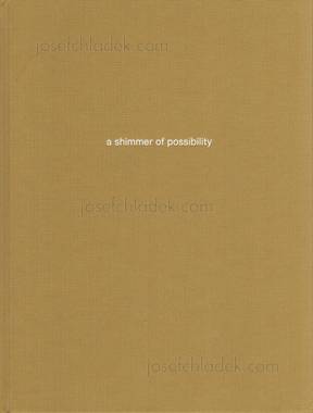  Paul Graham - a shimmer of possibility (a shimmer of pos...